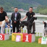 61039360_2292973200943754_2306176672338018304_n